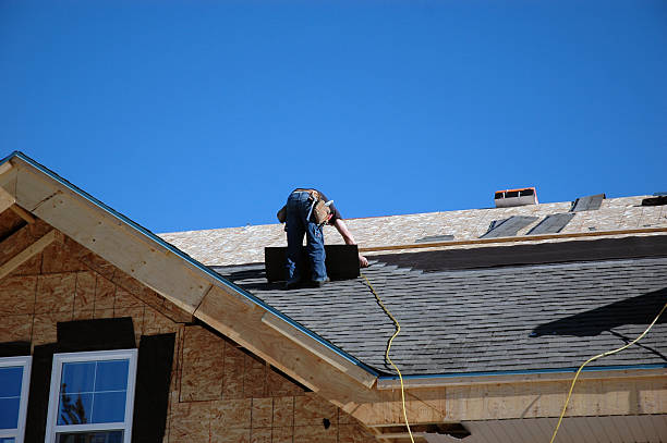 Best Roof Moss and Algae Removal  in Kent City, MI
