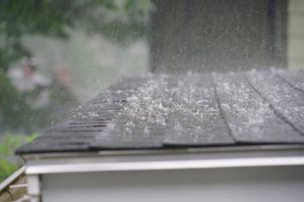 Professional Roofing in Kent City, MI